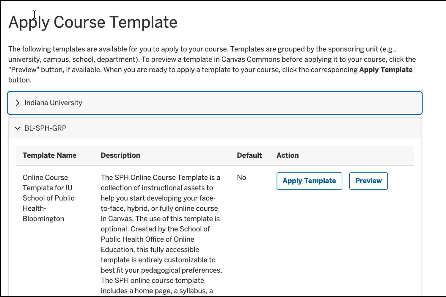 Image of a course template ready to be applied in Canvas