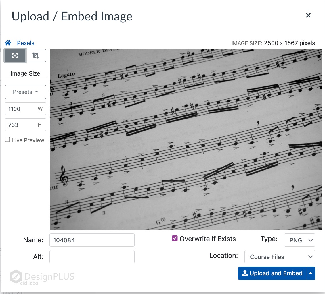 Interface for changing the image size, setting the ALT text, and designating the storage location