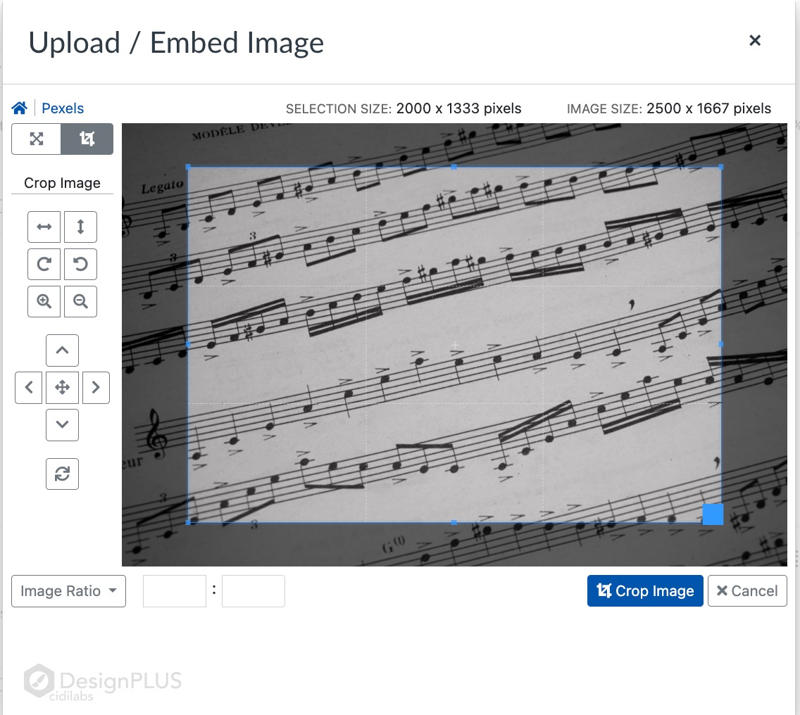 Screen shot of interface to crop, flip, rotate, and select image ratio